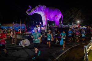 BIB: 
                            <button type="button" onclick="openModal(26552346)" class="btn btn-primary btn-sm float-right btn-popup" data-toggle="modal" data-target=".modal-high-quality">
                        <i class="fas fa-shopping-cart"></i> Add to Cart
                    </button>
                                            <button type="button" onclick="isThisMe(26552346, true)" class="btn btn-success btn-sm float-right btn-popup btn-isme hidden" data-toggle="tooltip" data-placement="bottom" title="นี่คือรูปของคุณใช่ไหม คลิกที่นี่เพื่อเอาเข้าอัลบั้ม">
                        <i class="fas fa-plus"></i> Add to album
                    </button>
                    <button type="button" onclick="isThisMe(26552346, false)" class="btn btn-warning btn-sm float-right btn-popup btn-isnotme hidden">
                        <i class="fas fa-ban"></i> Remove from album
                    </button>